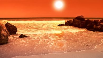 מודעות דרך האהבה