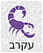 הורוסקופ תחזית אסטרולוגית יומית מזל עקרב