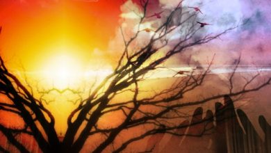 כוחם המיסטי של הצבעים