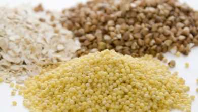 הכול על סיבים תזונתיים