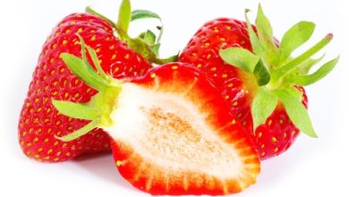 תות שדה - Strawberry