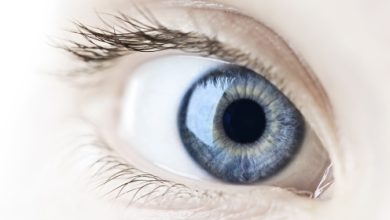 אבחון אירידיולוגי בגלגל העין