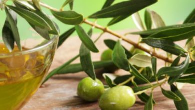 עלי זית - לשלום פנימי