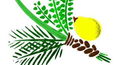 ארבעת המינים ותרומתם למניעה וטיפול במחלות כרוניות