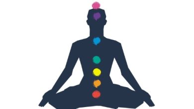 מערכת הצ'אקרות