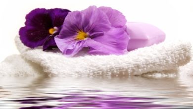 ארומתרפיה- כיצד ניתן להשתמש