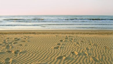 מהי שיטת המסע של ברנדון בייס?