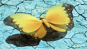 יחסי הגוף והנפש