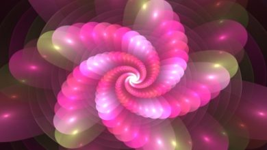 הצ'אקרה השניה