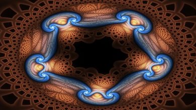 הצ'אקרה הרביעית