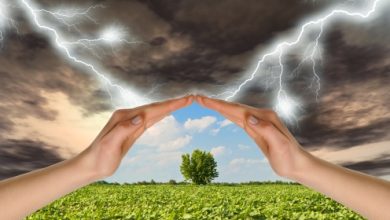 כיצד לסלק את השלילי מחייך?