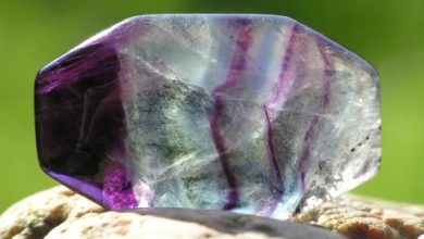 העתיד חזק כמו אבן