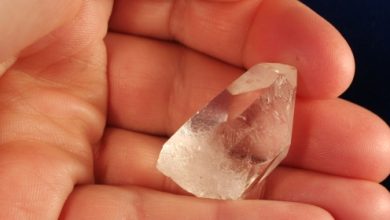 בכיס או בתיק?