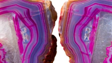 משפחת אבני האגת