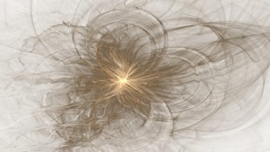 הקשר עם המימדים הגבוהים בחיי היומיום