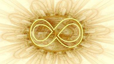 טכניקת ®EMF Balancing Technique