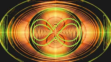 טכניקת EMF ורשת ה-UCL