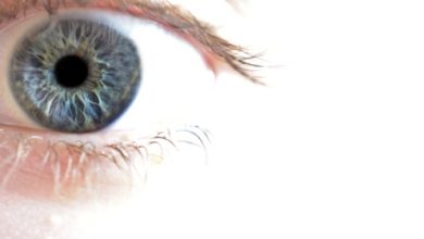 אירידיולוגיה והרזיה