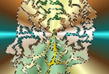 שיטת איזון המוח - (מטמורפיק)