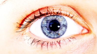 אירידיולוגיה - העיניים כראי הגוף והנפש