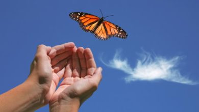 שיטת המסע של ברנדון בייס