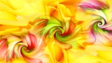 הריפוי השמאני