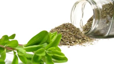 נפלאות הזעתר/ אזוב מצוי