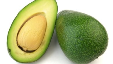 אבוקדו (persica americana)