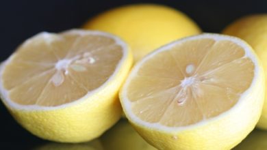 לימון (Citrus limon)