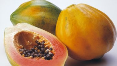 פאפאיה (Carica papaya)