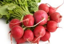 צנון הגינה (raphanus sativus)