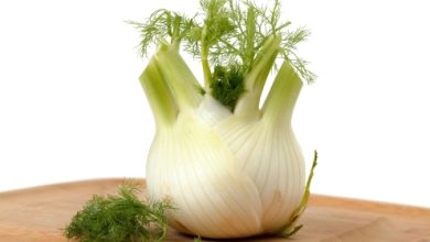 שומר- כלבו של צמח