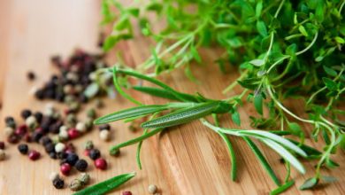 טיפול בבעלי חיים בעזרת צמחי מרפא