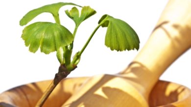 חומו של הקיץ והשפעתו על גופנו - צמחים מחזקים