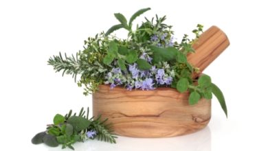 צמחי מרפא - להתגבר על כאבי מפרקים