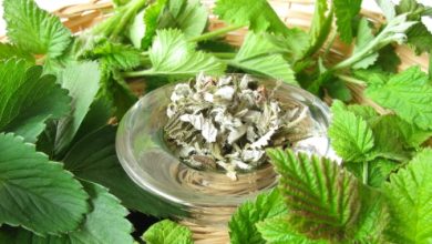 צמחי מרפא- טיפול תומך בסרטן