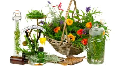 סוד צמחי המרפא