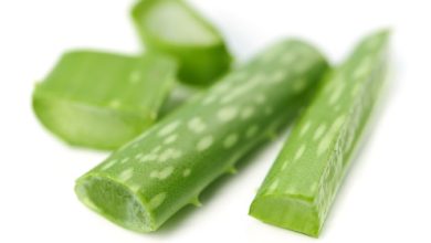 אלוורה - Aloe vera