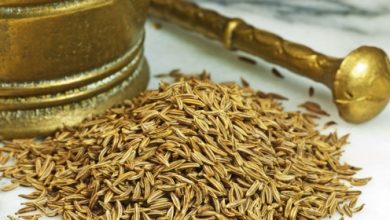 קימל- כרוויה תרבותית