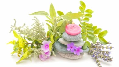 צמחי מרפא סיניים ומזונות להגברת פוריות הגבר והאישה