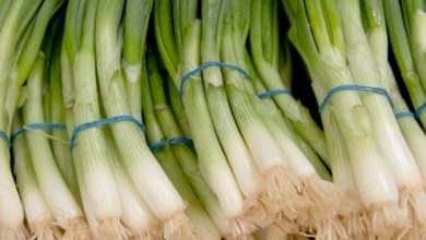 בצל הגינה? כל כך הרבה בריאות!