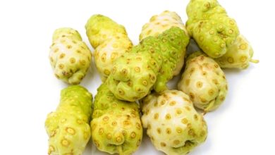 נוני (Morinda citrifolia)