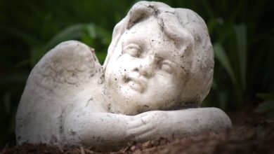 לעורר את מלאך החיים ולהמית את מלאך המוות