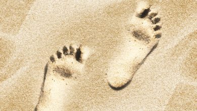 שתי פסיעות לעבר העצמאות