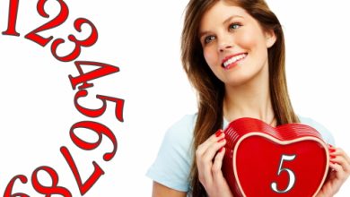 נשמות תאומות? על אהבה ומספרים