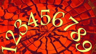 מספר המיניות