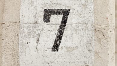 נפלאות המספר 7