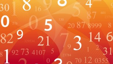 הקשר בין חודשי הלידה לילדותך וחינוך ילדייך- חלק ב'