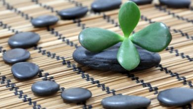 סגירת מעגלים בחיינו