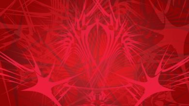 טנטרה- דרך המיניות המודעת